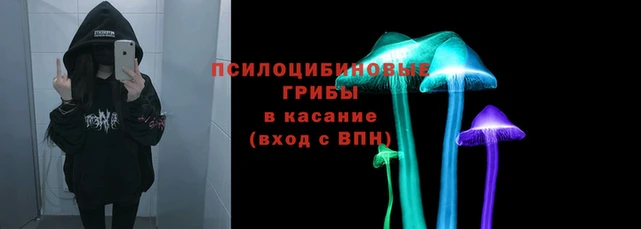 mdpv Балахна