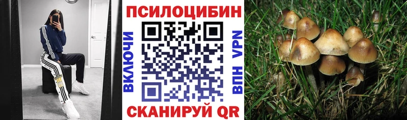 Галлюциногенные грибы прущие грибы  Белокуриха 
